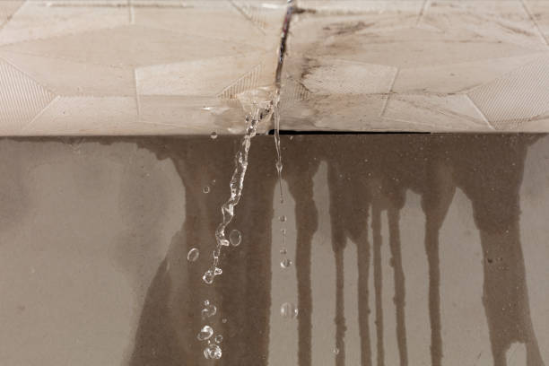 Professional Sewage Cleanup technician working in Lenexa, KS